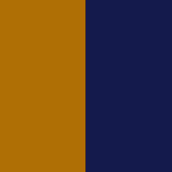 Camel / Navy